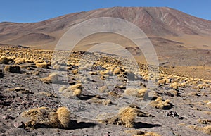 Landscape of Eduardo Avaroa Andean Fauna Reserve