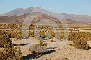 Landscape of Eduardo Avaroa Andean Fauna Reserve