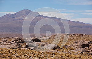 Landscape of Eduardo Avaroa Andean Fauna Reserve