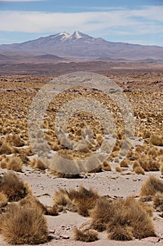 Landscape of Eduardo Avaroa Andean Fauna Reserve 