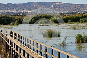 Landscape of the El Hondo wetland with Crevillent in the background and its mountains
