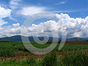 Landscape of el salvador