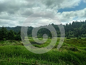 Landscape of Elk Meadows in Oregon, United States