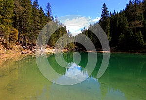 Landscape with the emerald surface of Lago di Braies lake and pine trees on the shore in the Dolomites, Italy photo