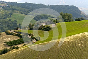 Landscape in Emilia-Romagna (Italy) at summer