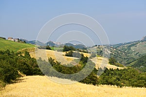 Landscape in Emilia-Romagna (Italy) at summer