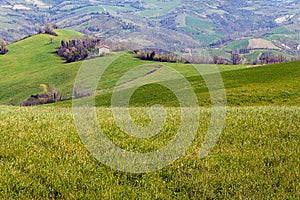 Landscape in Emilia-Romagna (Italy)