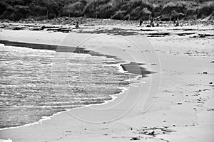 A landscape on an empty beach