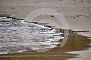 A landscape on an empty beach