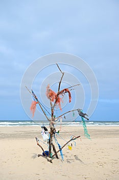 Landscape empty beach with rubbish tree