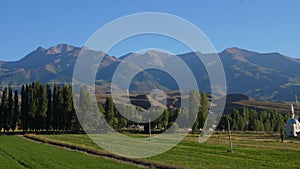 Landscape with empty green field, trees and mountains, panning view