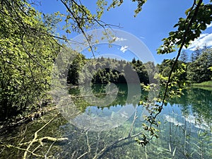 Landscape and environment of Plitvice Lakes National Park (UNESCO) - Plitvica, Croatia photo