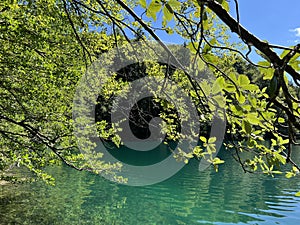 Landscape and environment of Plitvice Lakes National Park (UNESCO) - Plitvica, Croatia photo