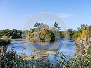 Landscape of Epping forest lake