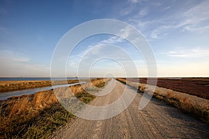 Landscape of Evros river in Greece.