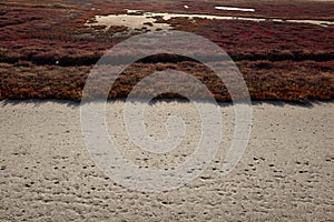 Landscape of Evros river in Greece.