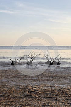 Landscape of Evros river in Greece.