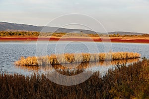 Landscape of Evros river in Greece.