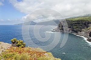 Landscape in Faial, Azores