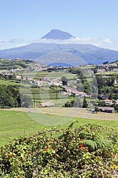 Landscape of Faial, Azores