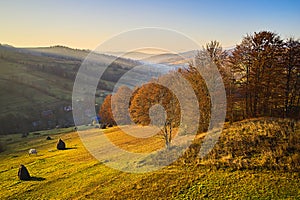 Landscape in the fall. Tranquil morning landscape in the mountains with yellow trees and fog