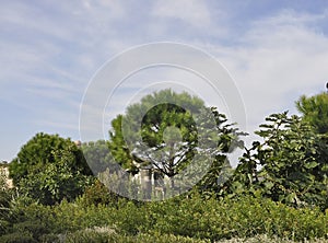 Landscape from the famous Park Longchamps in Marseille France