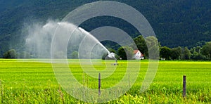 Landscape of a farm and field irrigation in Sel Norway