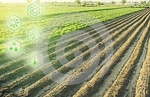 Landscape of a farm plantation field and hexagons with innovations. Science of agronomy. Improvement yield quality. Reducing