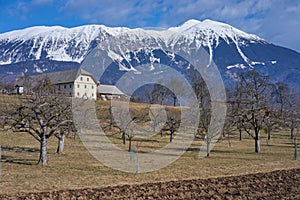 Landscape with Farmhouse and Meadow with trees, Gorenjska - Slovenia photo