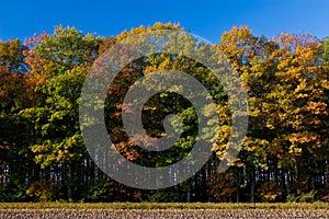 Landscape of a farmland with colorful autumn trees