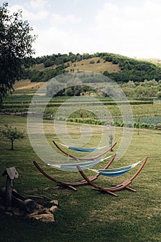 Landscape featuring a plethora of colorful hammocks strung between trees.