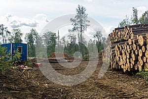 Landscape after felling - deforested land and stacks of logs