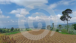 Landscape of fertile land for plantations at the foot of the mountain and blue sky background