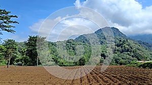 landscape of fertile land for plantations under the foot of the mountain with a blue sky in the background