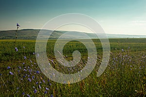 Landscape. Field on a background of hills