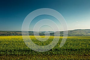 Landscape. Field on a background of hills