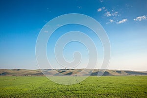 Landscape. Field on a background of hills