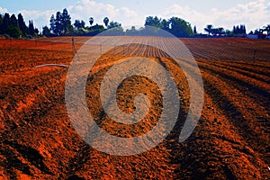 Landscape of field with furrows ready for planting Bnei Zion Israel