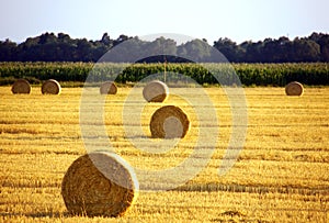 Landscape of field after harvest with bales