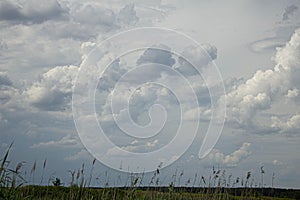 Landscape field and stormy sky. Beautiful landscape.