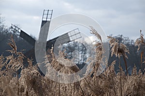 Landscape of a field with a windmill