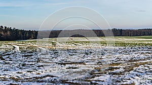 landscape with fields and forest covered with snow