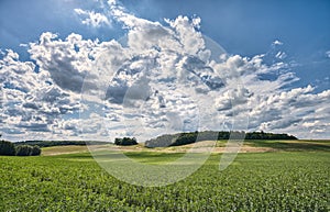 Landscape with fields, forest and dramatic sky