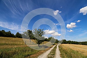 Landscape with fields, meadows and a dirt road