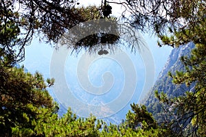 Landscape. Fir branches in the foreground, in the background mountains.