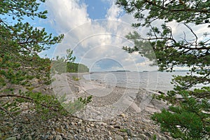 Landscape - fir trees on a rocky plateau under a blue sky with white clouds