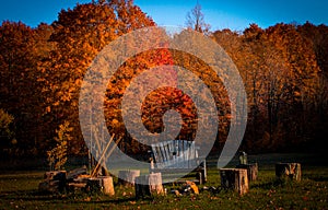 Landscape of a firepit with log seating during the beautiful autumn colors