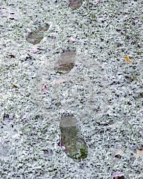 Landscape with the first snow in the garden on the green grass, footprints in the snow, autumn