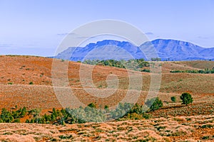 Landscape of Flinders Ranges mountains.