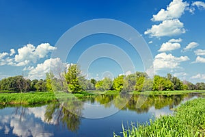 Landscape with flood waters of Narew river.